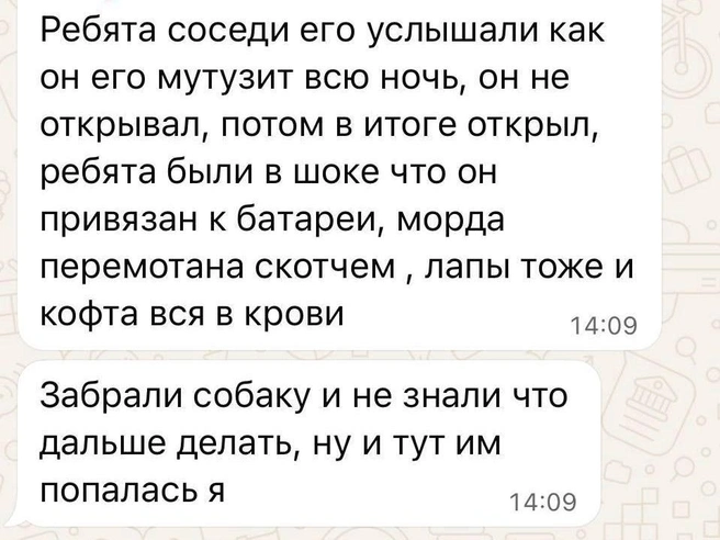 Источник: читатель E1.RU