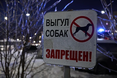 Замдиректора фирмы задержан за удар молотком в голову
