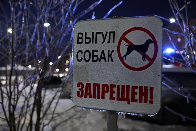Фото носит иллюстративный характер | Источник: Евгений Софийчук / NGS55.RU