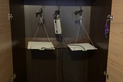 В Красноярском округе пресекли выращивание конопли