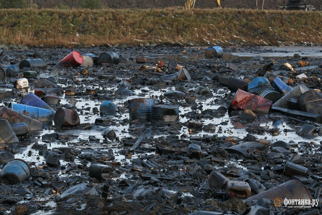 Свалка | Источник: Михаил Огнев / FONTANKA.RU