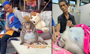 Умер Годзилла: история обезьяны, которую убила популярность в интернете