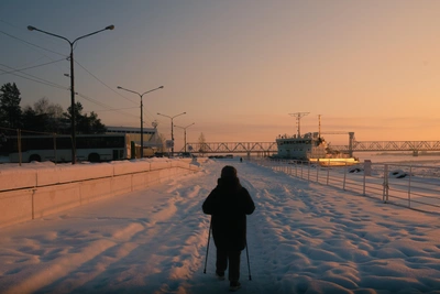 Морозы до -31°C ожидаются в Архангельской области