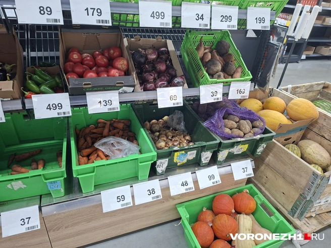 Источник: Алёна Воропаева / Voronezh1.ru
