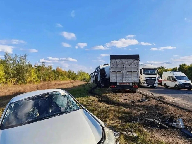 Пассажир из BMW скончался по дороге в больницу | Источник: Полиция Воронежской области / T.me