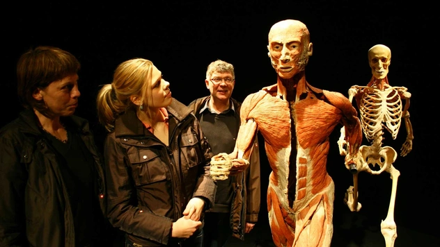 В Россию приезжает всемирно известная выставка BODY WORLDS
