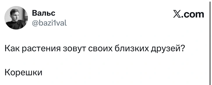 Источник: X (Twitter)