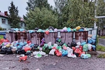 Рикасиха «утопает в мусоре»: регоператор назвал причину