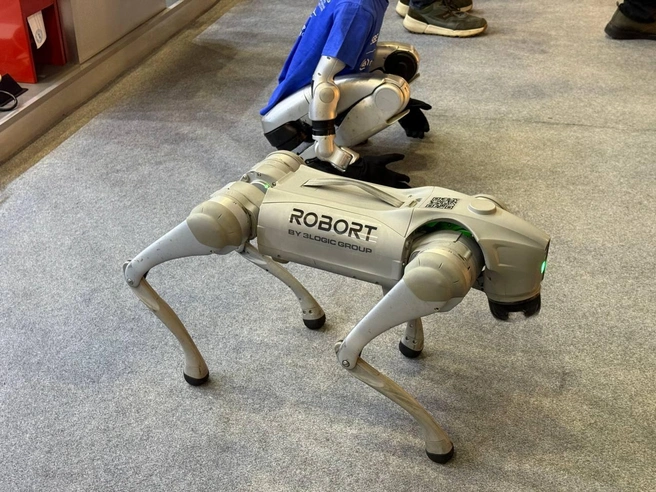 Источник: Милена Солдатенко / FONTANKA.RU