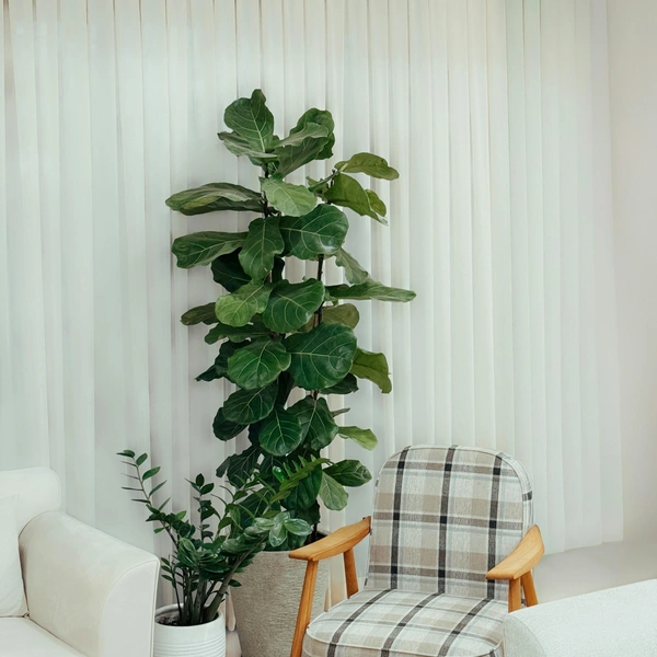 Добавляйте в интерьер интересные детали с историей | Источник: Behnam Norouzi/Unsplash