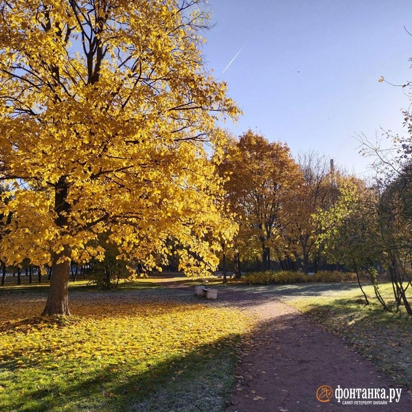 Источник: читатель «Фонтанки»