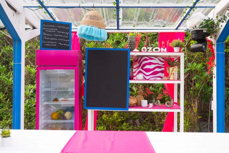 В прошлом выпуске Аня случайно купила коробку с сюрпризом за один миллион рублей