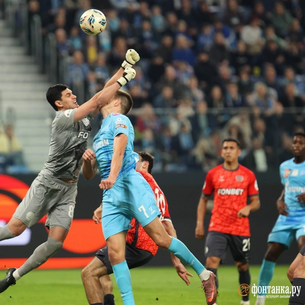 Источник: Сергей Михайличенко / FONTANKA.RU