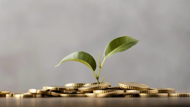 В первые девять месяцев года сибиряки внесли в программу почти 4 млрд рублей | Источник: ru.freepik.com