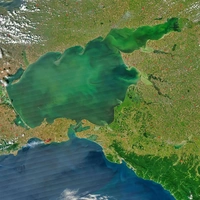 Солонеет. Азовское море потихоньку превращается в залив Черного