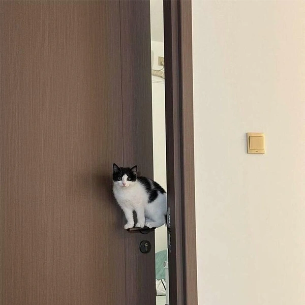 Источник: соцсети