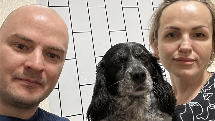 «Помогите Елизавете»: врачи, оперировавшие дальнобойщика на Ямале, спасли и его собаку | Источник: Депздрав Ямало-ненецкого АО/depzdravyanao89