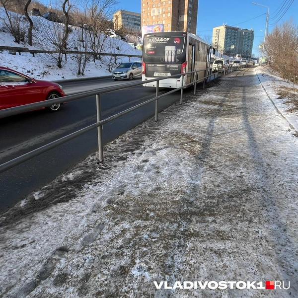 Источник: Елена Буйвол / VLADIVOSTOK1.RU