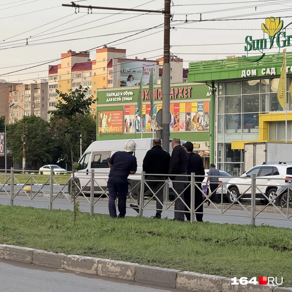 Источник: Сергей Петунин / 164.RU