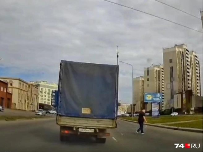 Водитель помог уткам перейти оживленную дорогу | Источник: читатель 74.RU