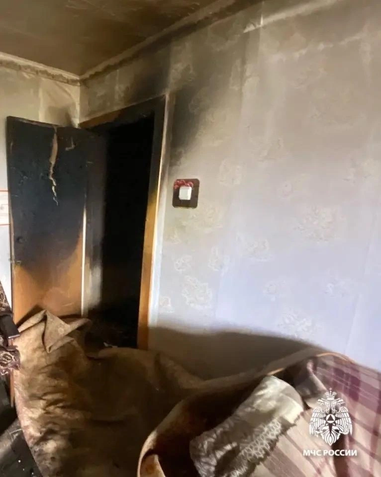 Видимо, дверь была барьером между комнатой и подкрадывающимся пламенем | Источник: МЧС Ярославской области / max