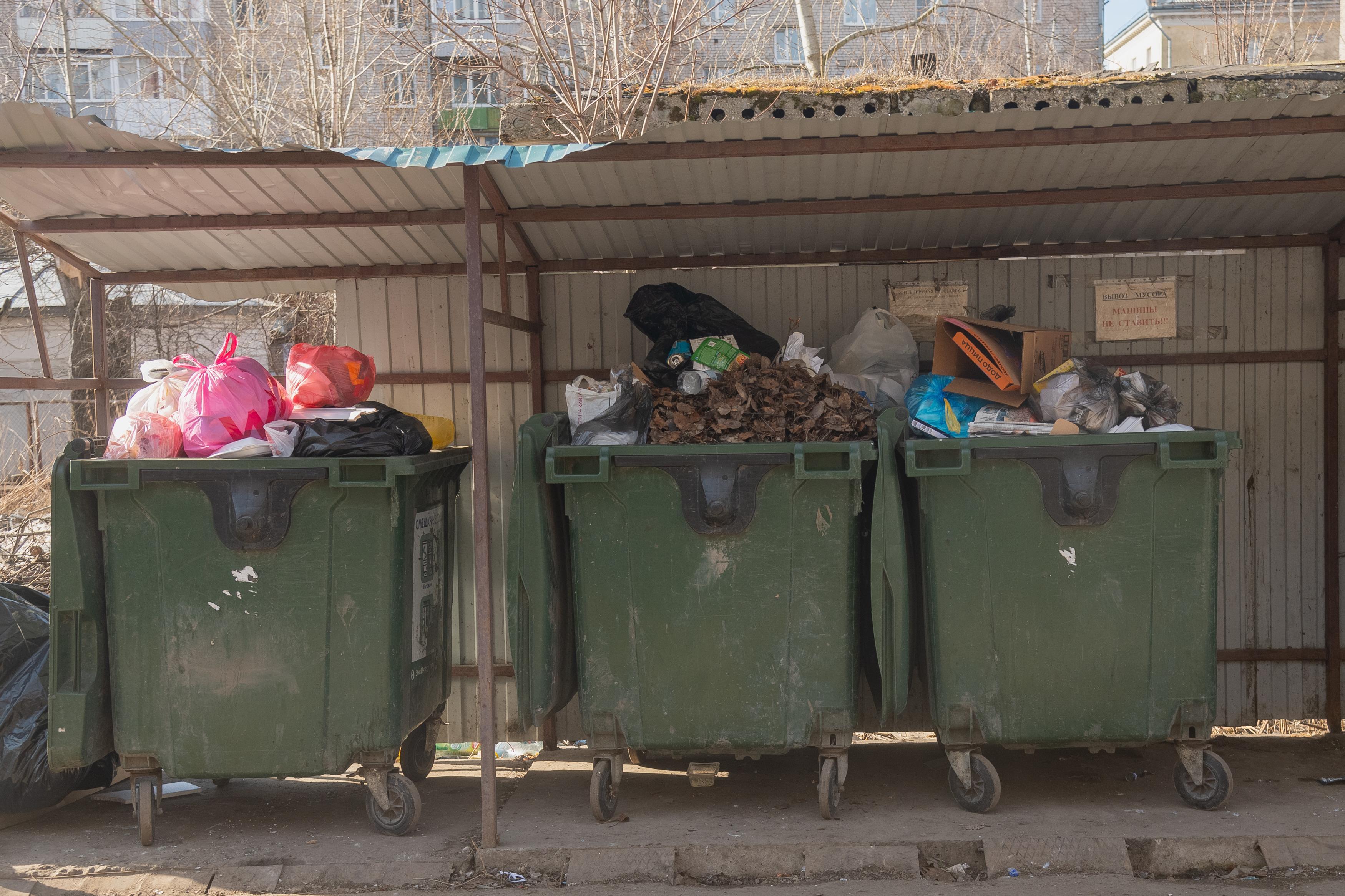 Тело новорожденного нашли в мусорном баке в Ростовской области: что известно