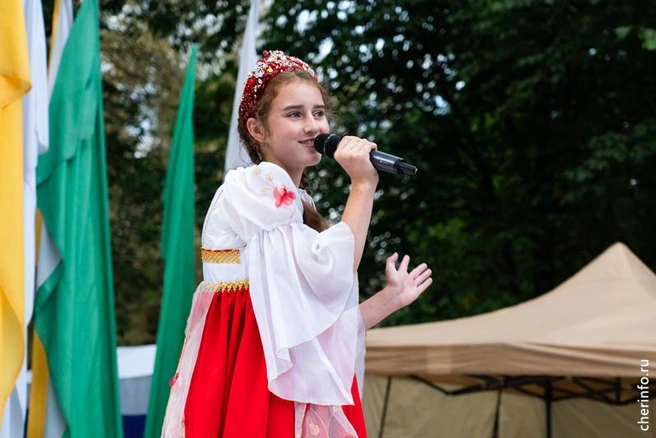 Источник: st.cherinfo.ru