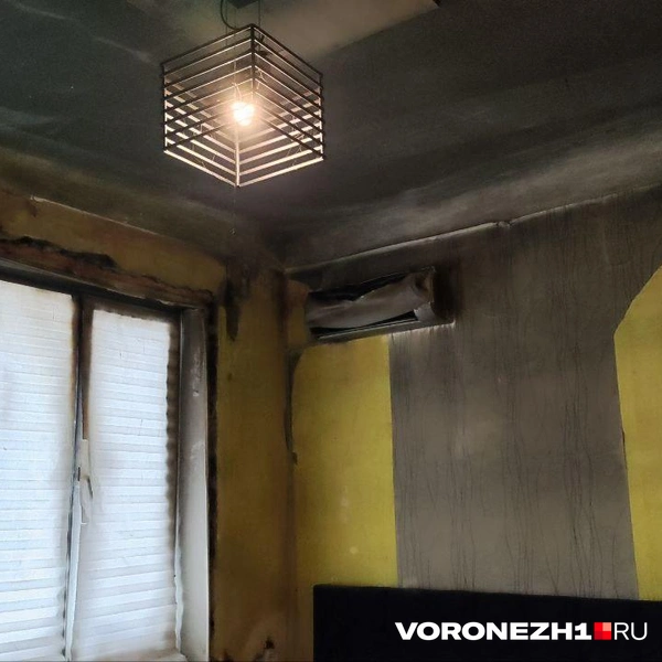 Источник: Татьяна Тельпис / Voronezh1.ru