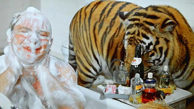 Сложный ностальгический тест, зритель из СССР будет в нем зверски плавать: 10 вопросов по комедии «Полосатый рейс»