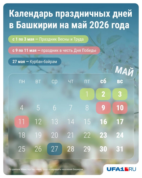 Записываем ручкой, когда на работу не надо | Источник: Серафима Пантыкина / Городские порталы