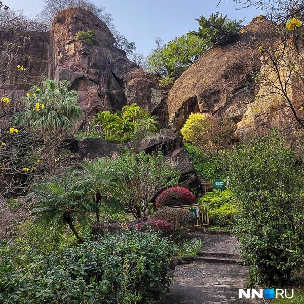 Гуанчжоу глазами россиянки: куда сходить и что съесть, если китайская кухня вам не по душе