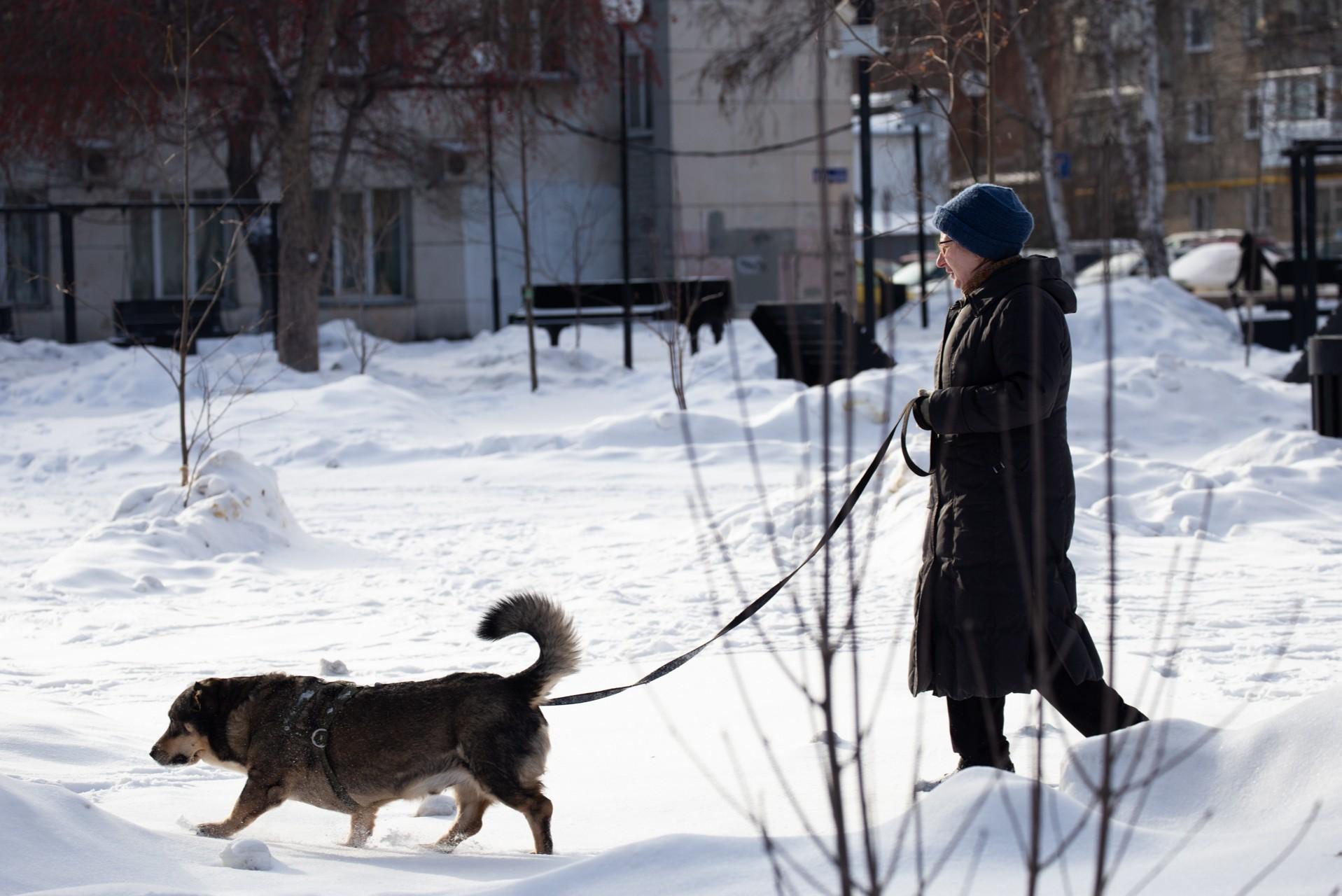 � 2026 ���� �� ������ ������ ���� ��������� ��������� �����������: ������� �� �� � �� �����