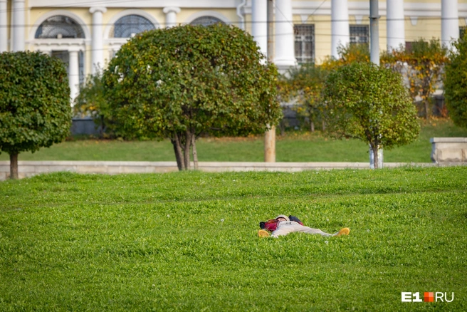 Сейчас бы не в офисе сидеть, а просто лежать на траве!  | Источник: Владислав Лоншаков / E1.RU