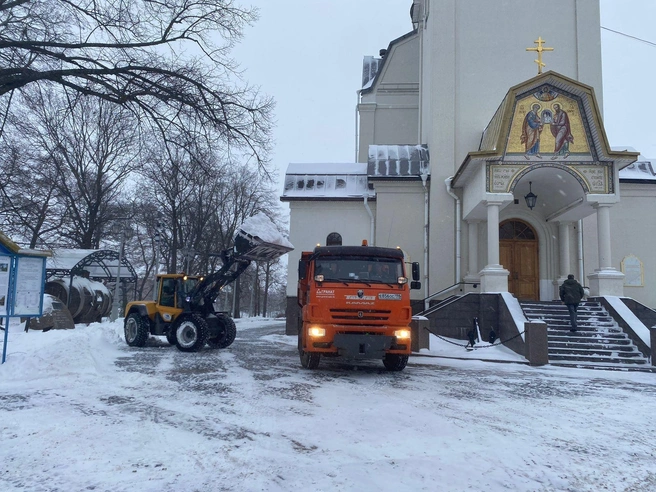 Источник: Комитет по благоустройству Петербурга