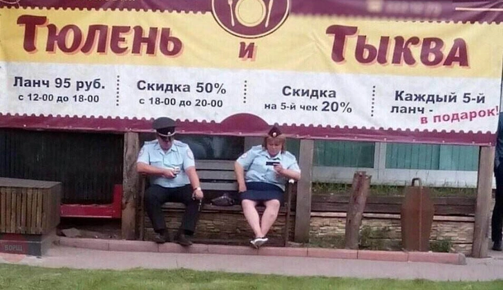 Смешные мемы и картинки к Хеллоуину про тыкву | maximonline.ru