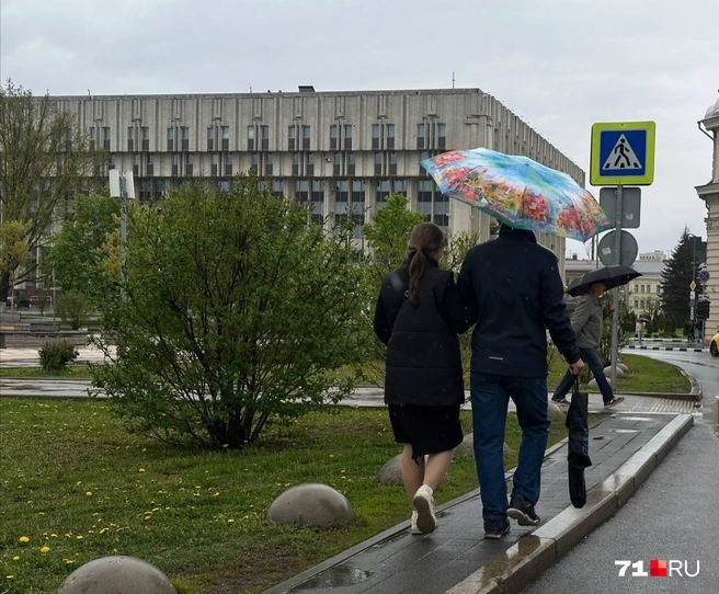 Вместе с осадками туляков ждет еще и похолодание | Источник: Виктория Денисова / 71.RU