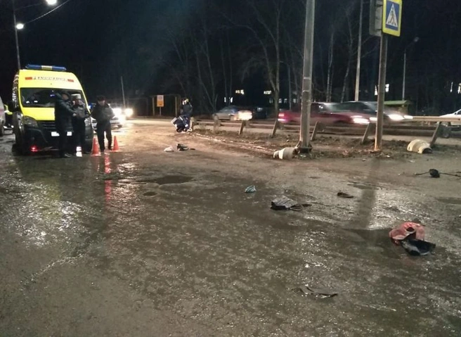 В полиции рассказали об обстоятельствах гибели двух пешеходов на Ряжском шоссе | ya62.ru