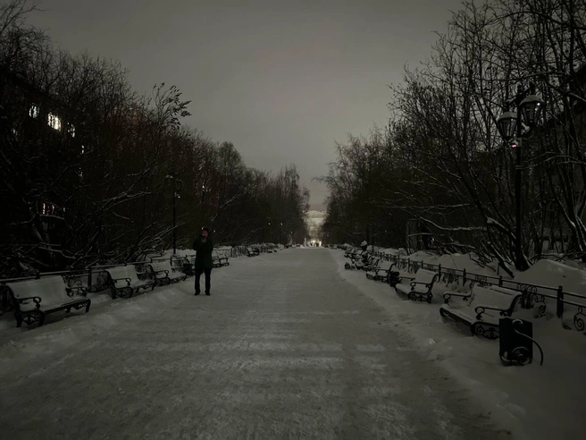 Парки остались без освещения | Источник: Александра Балаба / 51.RU