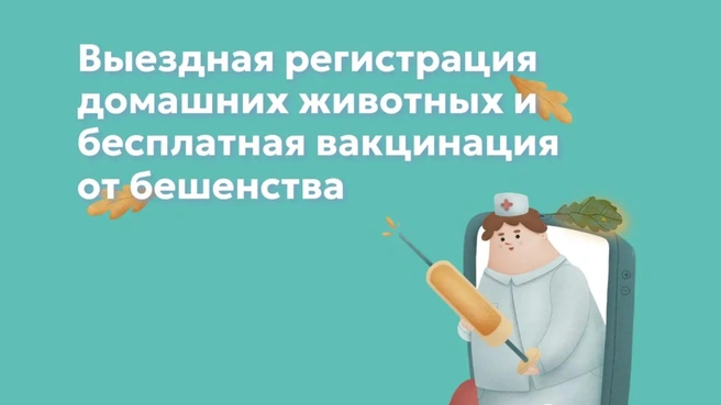Бесплатная вакцинация и чипирование животных в Казани | Источник: tatarstan.ru