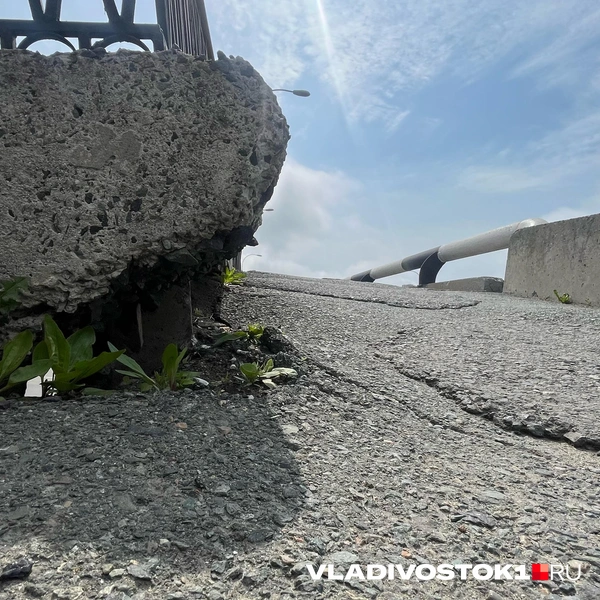 Источник: Елена Буйвол / VLADIVOSTOK1.RU