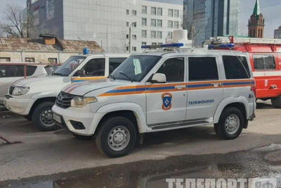 Змею поймали спасатели на набережной Амура