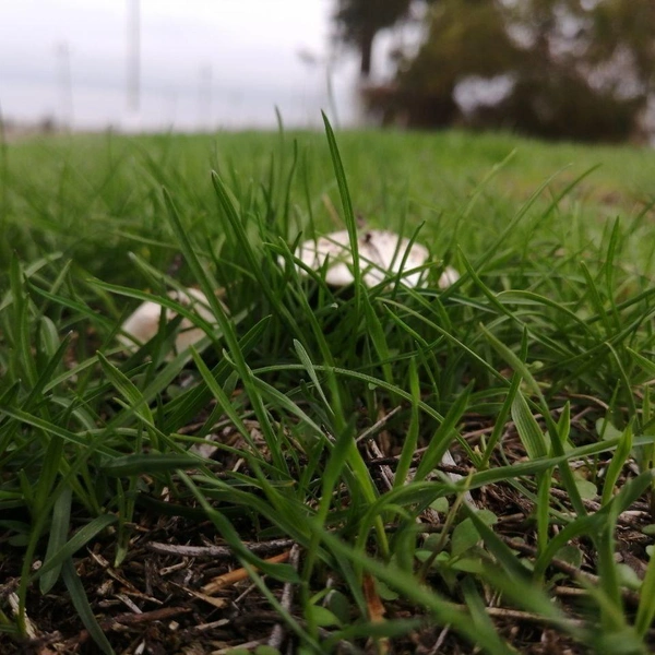 Источник: читатели V1.RU