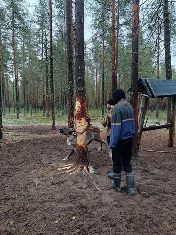 Источник: Варвара Сузько