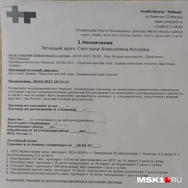 Источник: активисты / MSK1.RU
