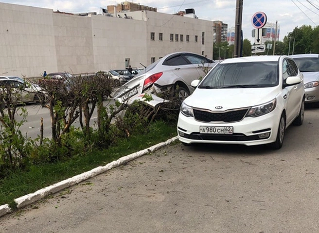 На улице Новоселов легковушка наехала на кусты | ya62.ru