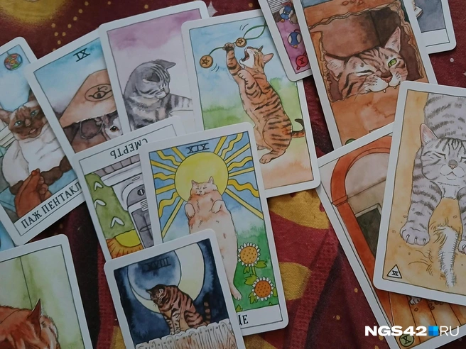 Источник: NGS42.RU