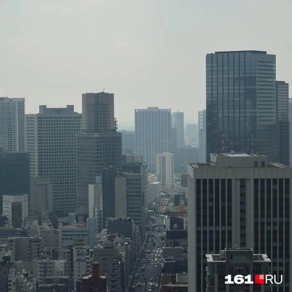 Такой вид на город с нее открывается | Источник: читатель 161.RU