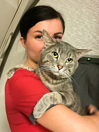 В аэропорту предложили усыпить: история спасения кота, которого не пускали в Таиланд