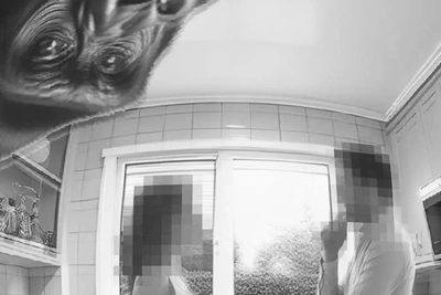 Video Club: Premiere of an Absurd Comedy