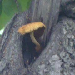 Граждане рассказали, что встретились в лесу и ночью жгли костры, ожидая помощи | Источник: www.city-n.ru